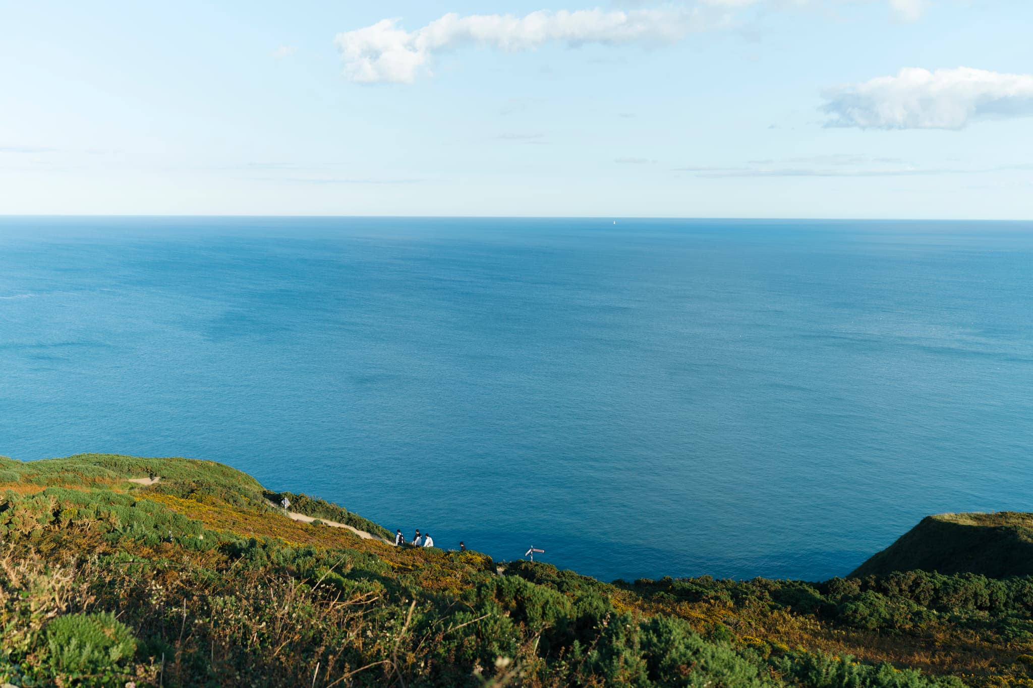https://a.storyblok.com/f/286728423687045/2048x1365/c9dea393fe/dcu_ireland_landscape.jpg