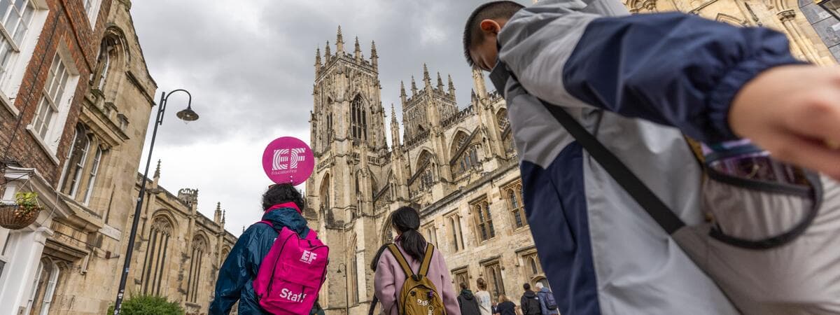 York: Kampus Odkrywców 🎒